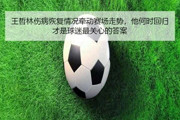 王哲林伤病恢复情况牵动赛场走势，他何时回归才是球迷最关心的答案